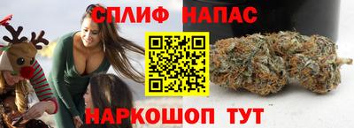 гидропоника Будённовск